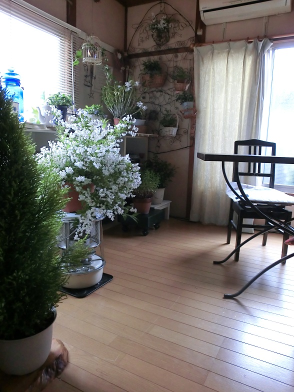 f0237037_1515485.jpg
