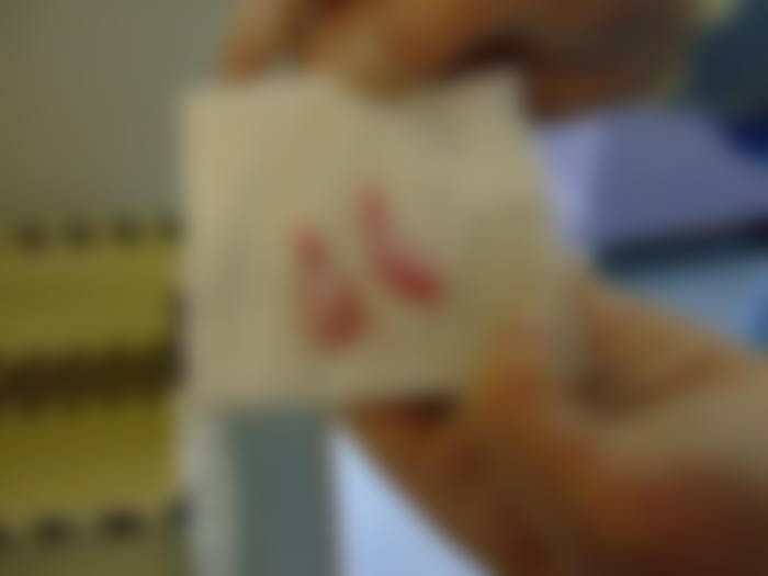 e0006242_1785083.jpg
