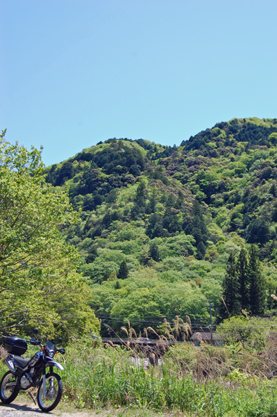 d0164443_2105923.jpg