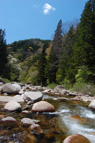 d0164443_2183638.jpg