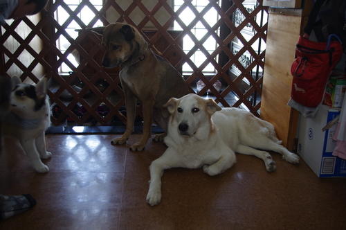 c0266644_2341231.jpg