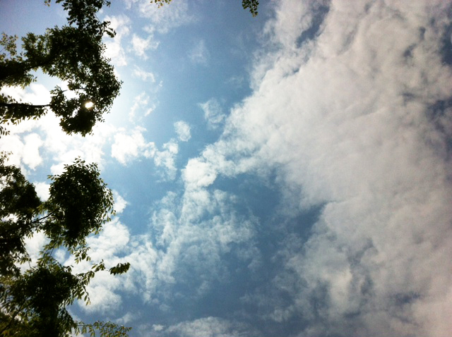 a0004752_13484890.jpg