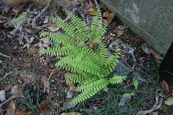 c0219160_15184427.jpg