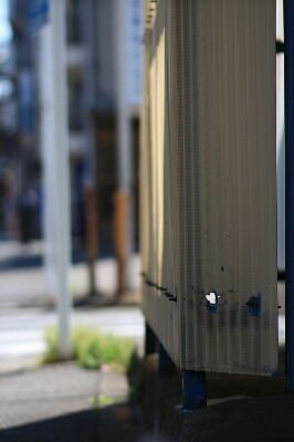 f0230961_1054250.jpg