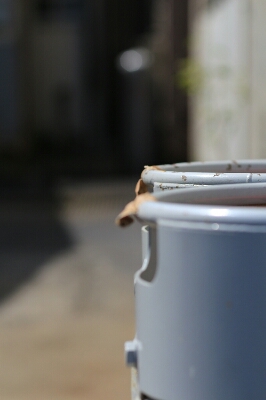 f0230961_1084873.jpg