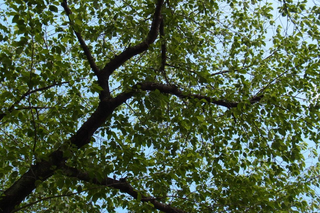 a0123465_1273091.jpg