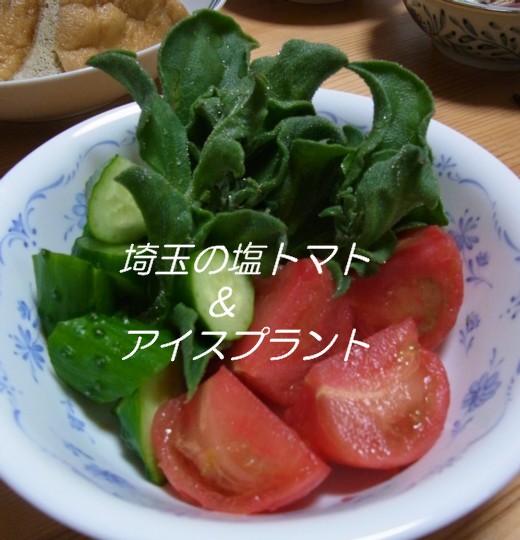 e0023471_10503766.jpg