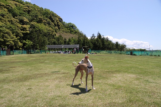 e0062371_2014757.jpg