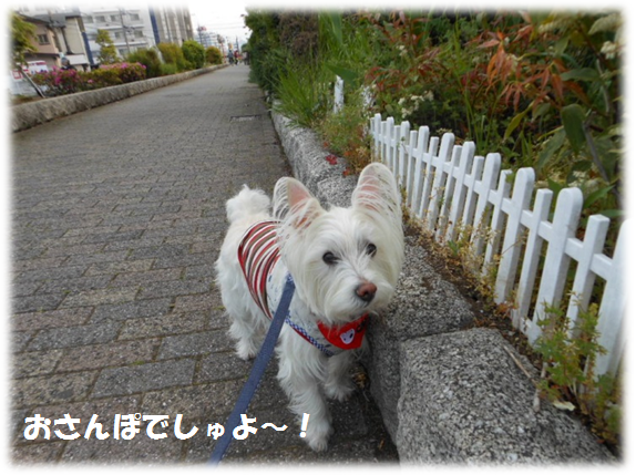 b0242873_126061.png