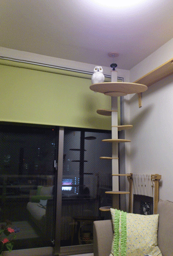 c0193788_11104523.gif