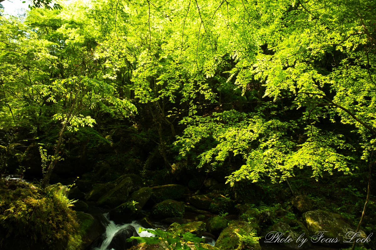 f0220502_17463045.jpg