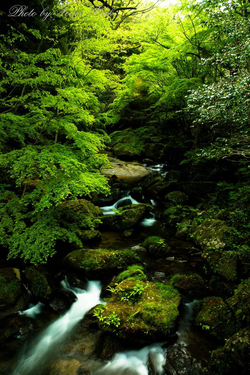 f0220502_17463752.jpg