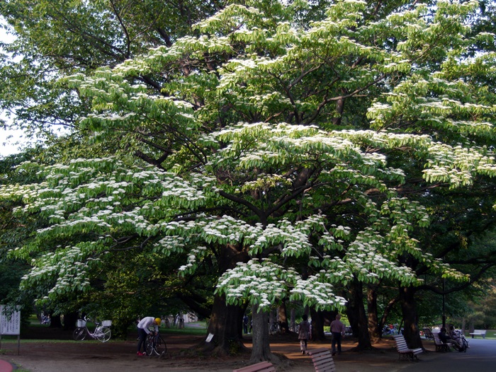 c0187503_2142639.jpg