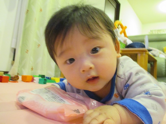 f0202703_22454952.jpg