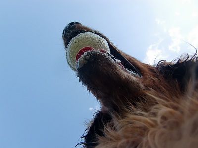 a0134004_23115584.jpg
