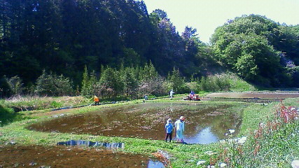 c0017505_9492736.jpg