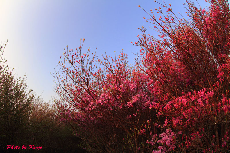 a0097006_023595.jpg