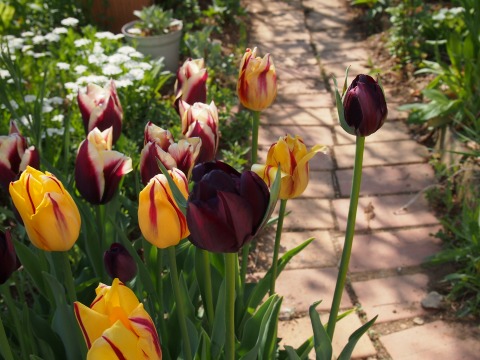 c0117007_23424791.jpg