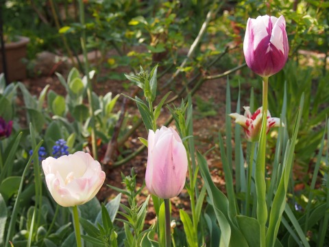 c0117007_23452635.jpg