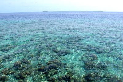 d0298808_849549.jpg