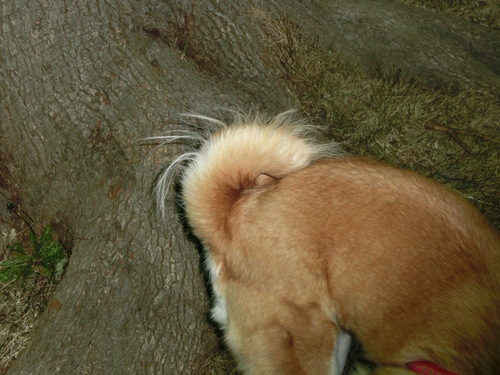 e0254813_11572196.jpg