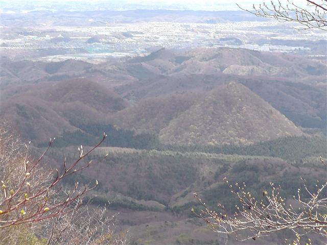 a0127015_1937485.jpg
