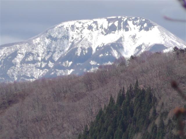 a0127015_1942939.jpg