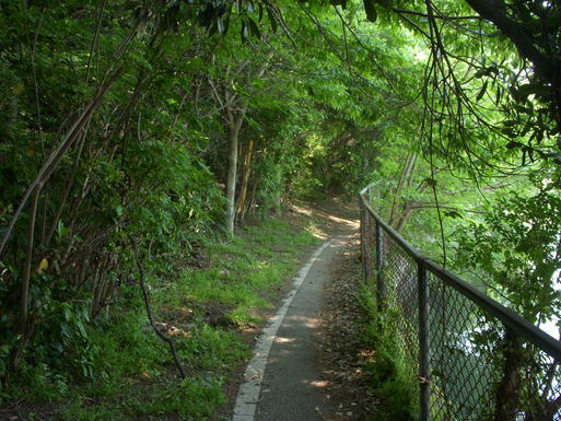 e0109622_1830661.jpg