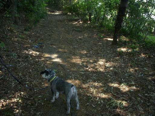 e0109622_18321677.jpg