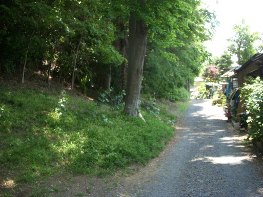 e0109622_18332465.jpg