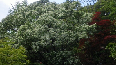 f0267023_5551440.jpg