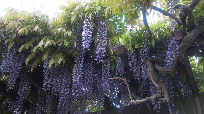 f0267023_5554728.jpg