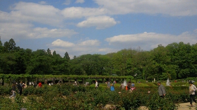 f0267023_5563319.jpg