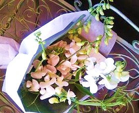 e0189225_11305330.jpg