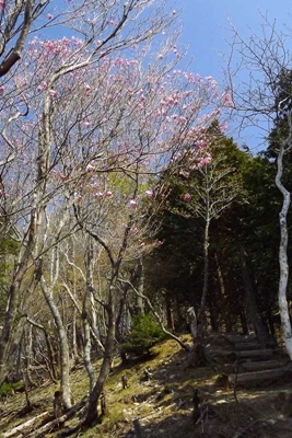 e0033229_20133234.jpg