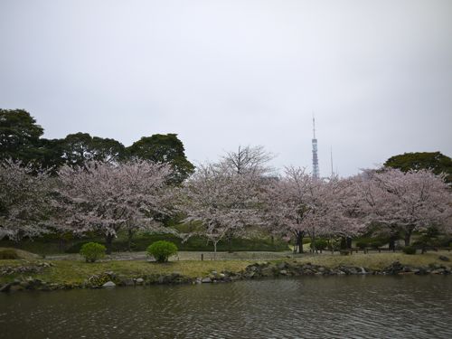 f0165831_222461.jpg