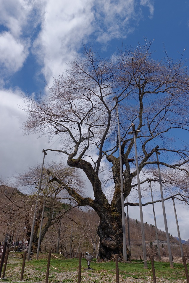 f0274536_0354239.jpg
