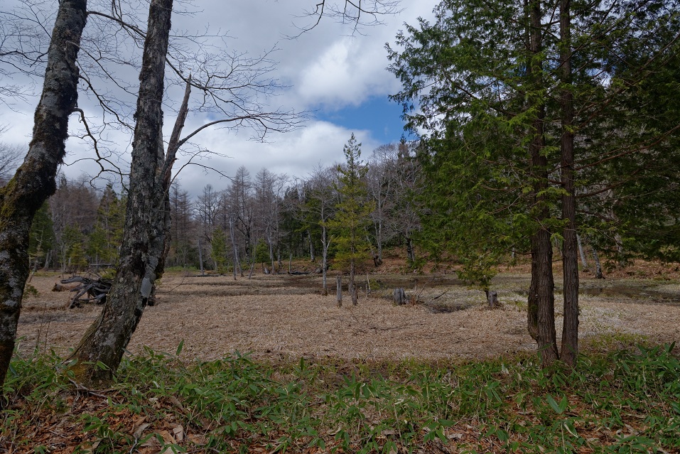 f0274536_16212074.jpg