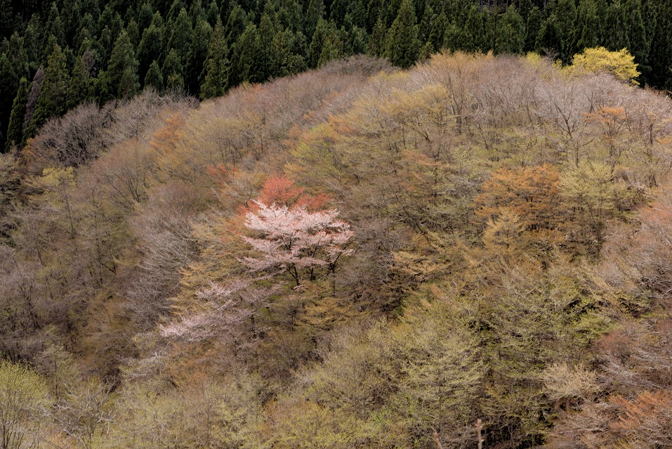 f0274536_16292970.jpg