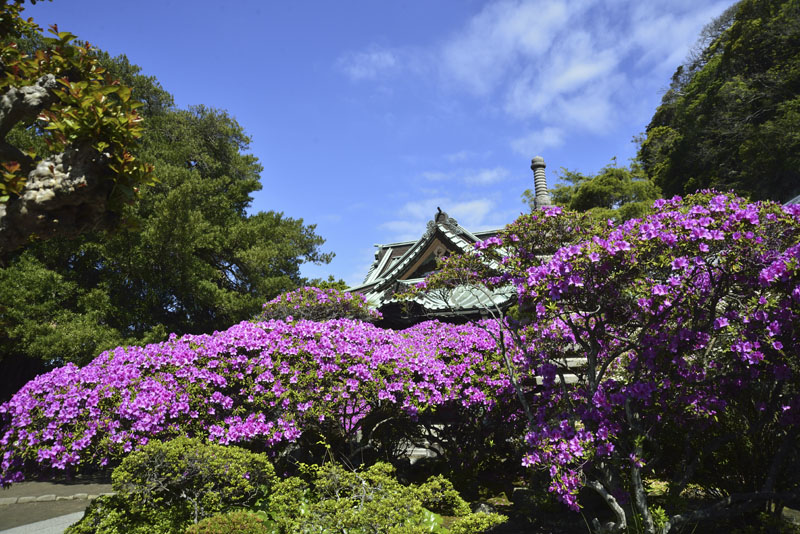b0042837_974895.jpg