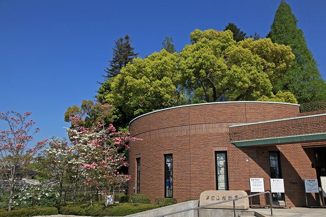 a0242438_1525359.jpg