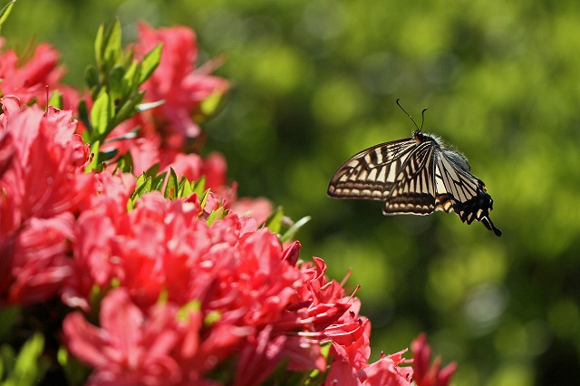 a0242438_1530458.jpg