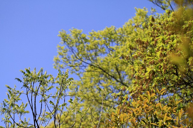 a0242438_1530939.jpg