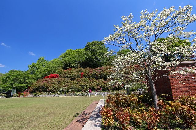 a0242438_15462694.jpg