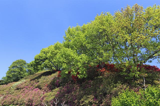 a0242438_1547488.jpg