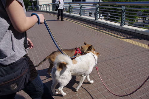 c0266644_072195.jpg