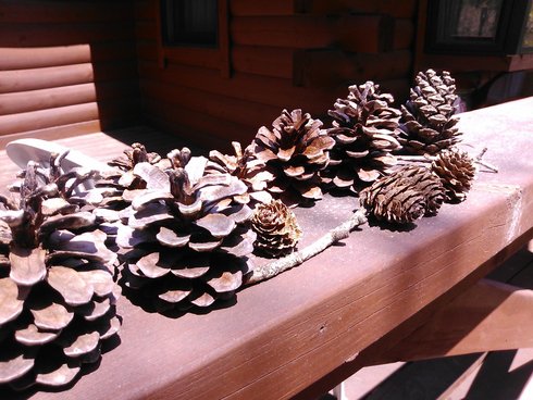 c0124646_16142237.jpg