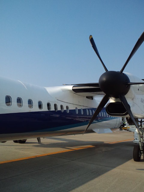 e0130546_1312273.jpg