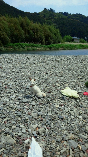 c0241952_17434233.jpg