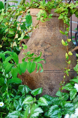e0025655_54426100.jpg